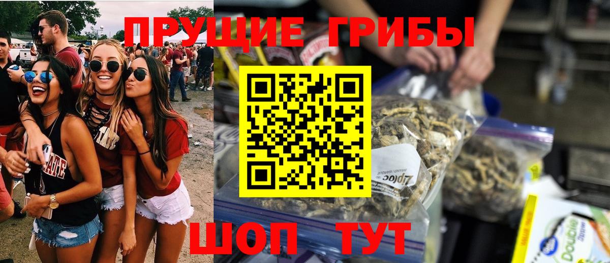 Псилоцибиновые грибы мицелий Прокопьевск