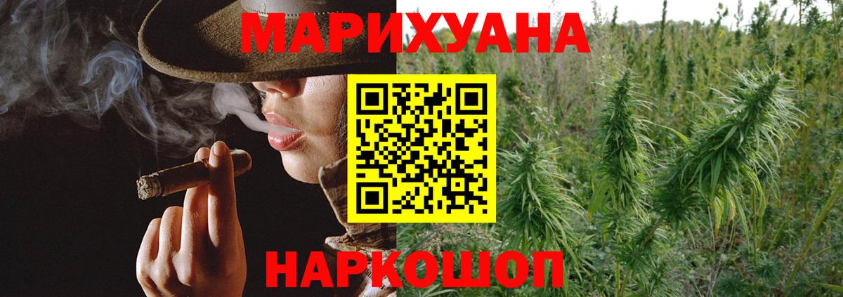 Конопля сатива Прокопьевск